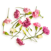 Ingredient_Spring_Flowers (2)