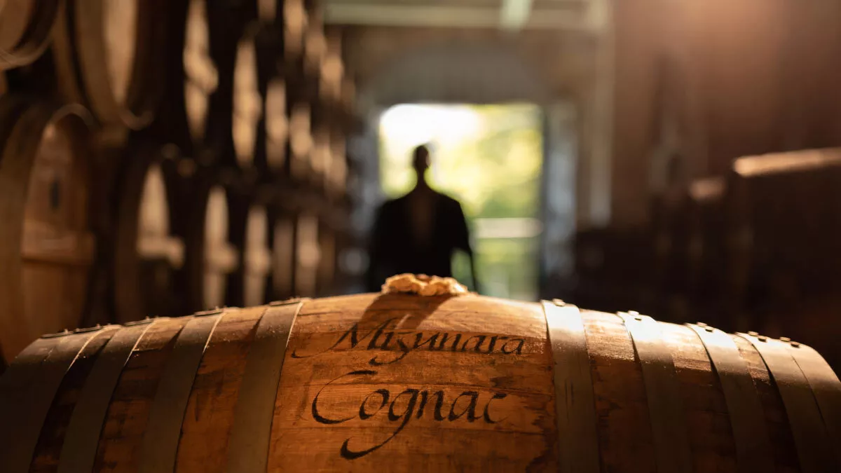 Mizunara 2021 Blend Cognac | Courvoisier