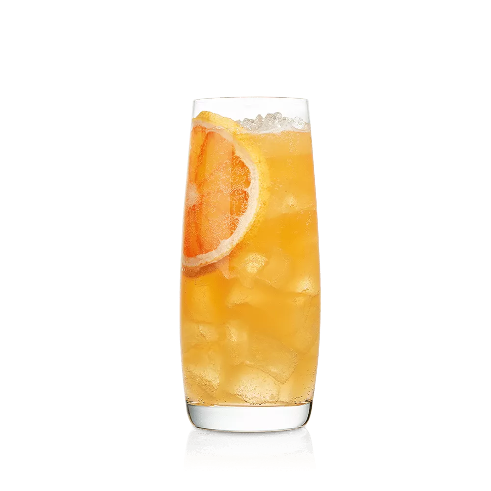 Citrus Sparkler cocktail made with VS cognac in a Highball glass and garnished with a slice of citrus fruit.